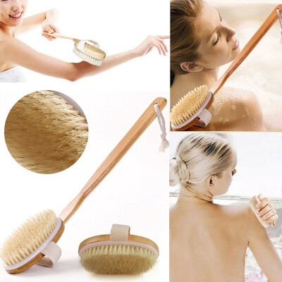 Natural Long Wood Bristle Body Brush With Detachable Long Wood Handle Bath Body Brush
Natural Long Wood Bristle Body Brush With Detachable Long Wood Handle Bath Body Brush