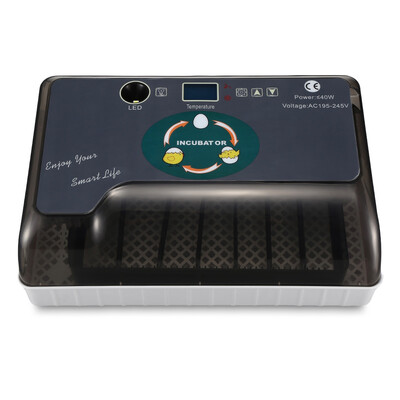 Household Automatic Hatching Incubator Digital Temperature Control with LED Light
Household Automatic Hatching Incubator Digital Temperature Control with LED Light