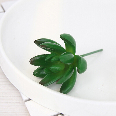 Artifical Plastic Succulent Plant Cactus Echeveria Flower
Artifical Plastic Succulent Plant Cactus Echeveria Flower