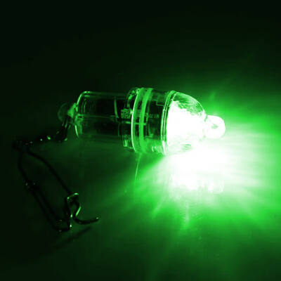 1 pcs Deep underwater LED lure fish light flash fish light with hooks lure fisher Fishing Tool
1 pcs Deep underwater LED lure fish light flash fish light with hooks lure fisher Fishing Tool