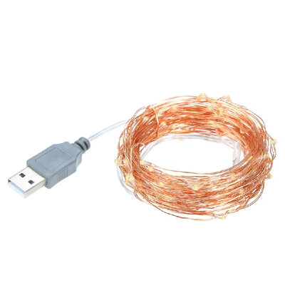 100 LED Copper Wire String Light USB Powered Fairy String Light Waterproof for Garden Outdoor Party Christmas Decor
100 LED Copper Wire String Light USB Powered Fairy String Light Waterproof for Garden Outdoor Party Christmas Decor