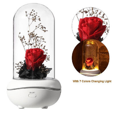 Preserved Rose Lamp Aromatherapy Mechine Aroma Essential Oil Diffuser with 7 Colors Changing Light
Preserved Rose Lamp Aromatherapy Mechine Aroma Essential Oil Diffuser with 7 Colors Changing Light