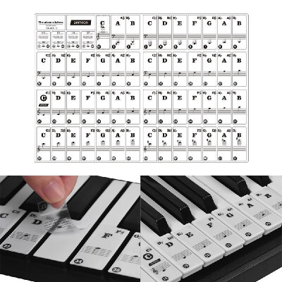 ammoon Piano Keyboard Stickers for 37 49 61 88 Key Keyboards Removable Colorful for Kids Beginners Piano Practice Learning
ammoon Piano Keyboard Stickers for 37 49 61 88 Key Keyboards Removable Colorful for Kids Beginners Piano Practice Learning