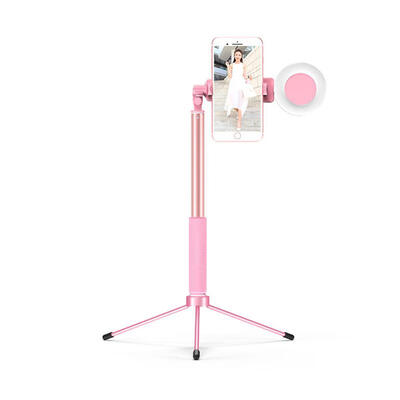 12m Universal Adjustable Desktop Self Timer Tripod Bracket With Fill Light Bluetooth Selfie Stick For Live Streaming
12m Universal Adjustable Desktop Self Timer Tripod Bracket With Fill Light Bluetooth Selfie Stick For Live Streaming