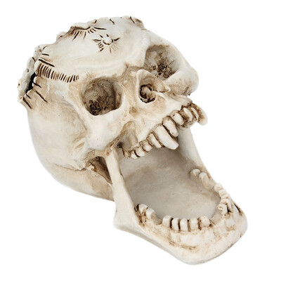 Office Desktop Storage Box Stationery Organizer Horrible Stiletto Skull Face Pen Holder Halloween Cup Gift Home Decoration
Office Desktop Storage Box Stationery Organizer Horrible Stiletto Skull Face Pen Holder Halloween Cup Gift Home Decoration