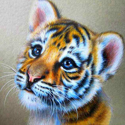 5d Diamond Painting Tiger Animal Full Square Diamond Embroidery Sale Diamond Mosaic Rhinestone Picture
5d Diamond Painting Tiger Animal Full Square Diamond Embroidery Sale Diamond Mosaic Rhinestone Picture