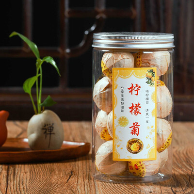 Lemon Chrysanthemum Lemon Chrysanthemum Ancient Tree Blush Gold Silk Emperor Chrysanthemum