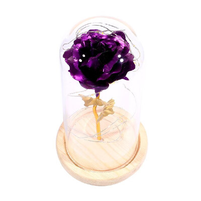 Birthday Gift Beautiful Preserved Rose Flower LED Light with Glass Cover Wooden Base Valentines Day Wedding Gift
Birthday Gift Beautiful Preserved Rose Flower LED Light with Glass Cover Wooden Base Valentines Day Wedding Gift