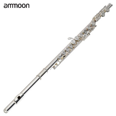ammoon High Quality Flute Cupronickel Silver Plated 16 Closed Holes C Key with Case Screwdriver Wind Instruments for Beginner Stud
ammoon High Quality Flute Cupronickel Silver Plated 16 Closed Holes C Key with Case Screwdriver Wind Instruments for Beginner Stud