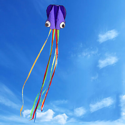 Tailored Large Octopus Long Tail Beach Kites-Perfect Toy for Kids&Adults Outdoor Game