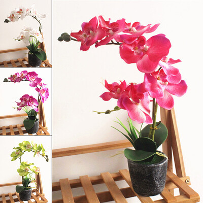 Simulated Artificial Bonsai Butterfly Orchid Flower Plant Home Garden Decor Top
Simulated Artificial Bonsai Butterfly Orchid Flower Plant Home Garden Decor Top