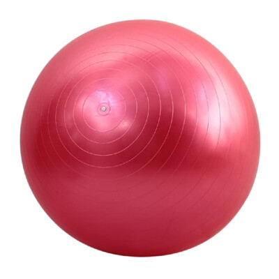 65cm Fitness Exercise Gym Fit Yoga Core Ball Multi-use Indoor Fitness Training Yoga Ball
65cm Fitness Exercise Gym Fit Yoga Core Ball Multi-use Indoor Fitness Training Yoga Ball