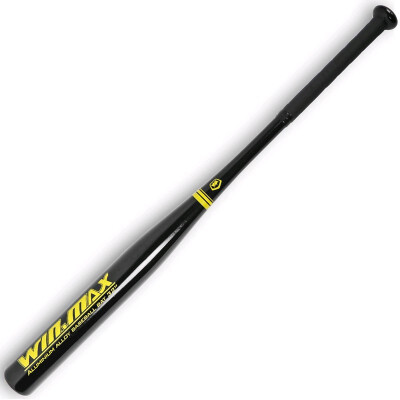 bat