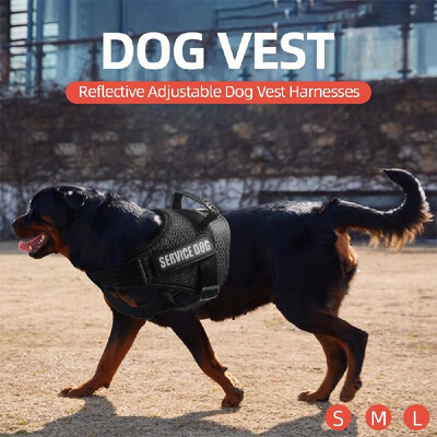 Dog Vest Harnesses Reflective Service Dog Harness Adjustable Service Dog Vest for Outdoor Walking
Dog Vest Harnesses Reflective Service Dog Harness Adjustable Service Dog Vest for Outdoor Walking