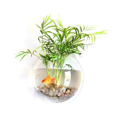 Home Decoration Wall Mount Fish Tanks Goldfish Bowl Acrylic Hanging Aquariums Flowerpot Flower Vase
Home Decoration Wall Mount Fish Tanks Goldfish Bowl Acrylic Hanging Aquariums Flowerpot Flower Vase