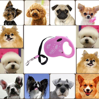 3M Automatic Retractable Pet DogCat Puppy Traction Rope Walking Lead 
3M Automatic Retractable Pet DogCat Puppy Traction Rope Walking Lead