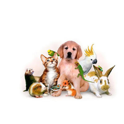 5D DIY Full Drill Diamond Painting Animals Cross Stitch Embroidery Mosaic