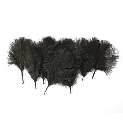 10-pieces Lots Black Natural Ostrich Feathers 4-6"10-15cm for Home Wedding Party Décor
10-pieces Lots Black Natural Ostrich Feathers 4-6"10-15cm for Home Wedding Party Décor