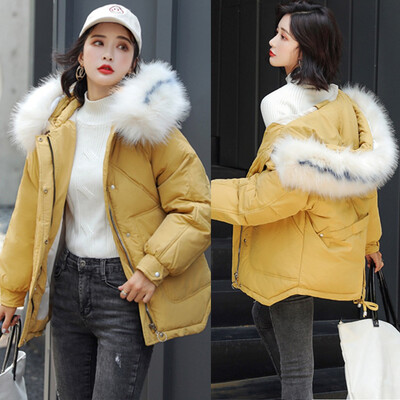 Roseonmyhand Fashion Women Hooded Solid Winter Windbreaker Warm Coat Jacket Overcoat Outwear
Roseonmyhand Fashion Women Hooded Solid Winter Windbreaker Warm Coat Jacket Overcoat Outwear