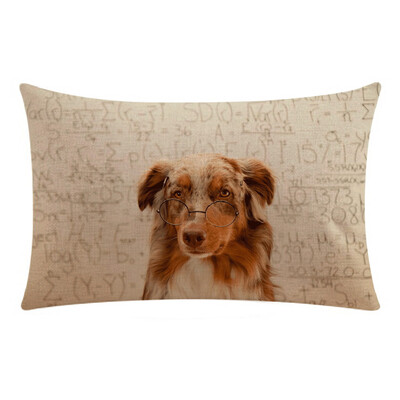 Siaonvr Cute Cat Dog Animal Sofa Bed Home Decoration Festival Pillow Case Cushion Cover
Siaonvr Cute Cat Dog Animal Sofa Bed Home Decoration Festival Pillow Case Cushion Cover
