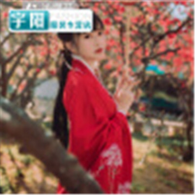 2018 Hanfu female Bodhisattva Tang suit Qi chest skirt improved Chinese elements costume traditional Hanfu Tang system fresh&e
2018 Hanfu female Bodhisattva Tang suit Qi chest skirt improved Chinese elements costume traditional Hanfu Tang system fresh&e