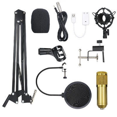 BM800 Condenser Microphone Lit Pro Audio Studio Recording & Brocasting Adjustable Mic Suspension Scissor Arm Pop Filter
BM800 Condenser Microphone Lit Pro Audio Studio Recording & Brocasting Adjustable Mic Suspension Scissor Arm Pop Filter