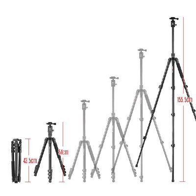 Kingjoy G555G0 Aluminum Alloy 4-Section Travel Tripod Detachable Monopod with Panoramic Ball Head Flip Buckle Design for Canon So
Kingjoy G555G0 Aluminum Alloy 4-Section Travel Tripod Detachable Monopod with Panoramic Ball Head Flip Buckle Design for Canon So