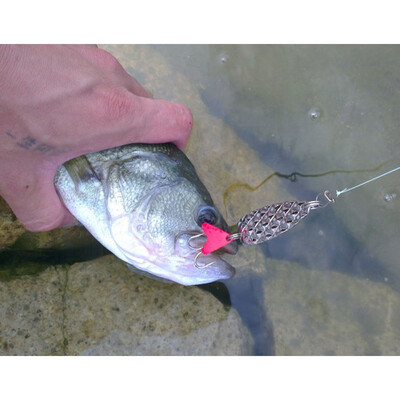 Saidsome 2PCMetal Alloy Hard Lure With Sound Slice Wobbler CarpFishingTackle SpinnerGear fishing bait fishing lure
Saidsome 2PCMetal Alloy Hard Lure With Sound Slice Wobbler CarpFishingTackle SpinnerGear fishing bait fishing lure