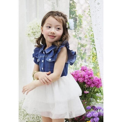 Toddler Kids Girls Ruffled Sleeveless Denim Tulle Tutu Dress Casual Gown Outfit Summer Clothes
Toddler Kids Girls Ruffled Sleeveless Denim Tulle Tutu Dress Casual Gown Outfit Summer Clothes