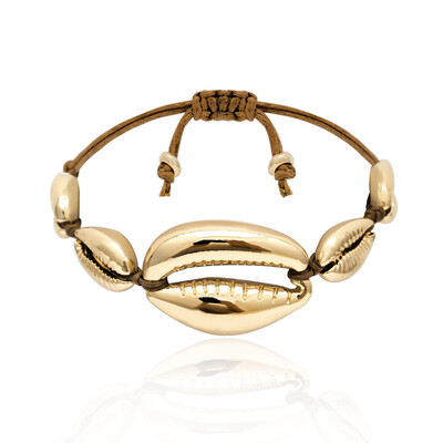 Puka Big Natural cowrie Shell necklace women statement baroque bijoux choker necklace Collier de coquillages jewelry 2019
Puka Big Natural cowrie Shell necklace women statement baroque bijoux choker necklace Collier de coquillages jewelry 2019