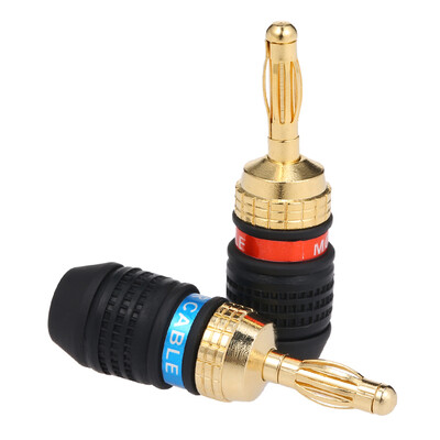 Banana Plug Red & Black Connector Speaker Corrosion-Resistant Banana Connector Left&Right Channels for Audio Video Amplifier
Banana Plug Red & Black Connector Speaker Corrosion-Resistant Banana Connector Left&Right Channels for Audio Video Amplifier