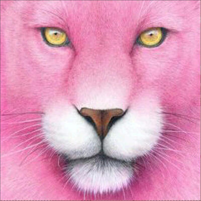 5D Diamond Painting DIY Semi-finished Animals Theme Lion Tiger Cat Pink Pink Black&White Home Decor Office Bedroom Living Ro
5D Diamond Painting DIY Semi-finished Animals Theme Lion Tiger Cat Pink Pink Black&White Home Decor Office Bedroom Living Ro