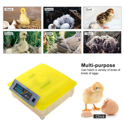 Ktaxon 56 New Clear Egg Incubator Digital Automatic Hatcher Temperature Control Poultry
Ktaxon 56 New Clear Egg Incubator Digital Automatic Hatcher Temperature Control Poultry