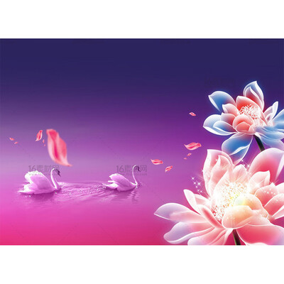 Gobestart 5D Embroidery Paintings Rhinestone Pasted DIY Diamond Painting Cross Sti
Gobestart 5D Embroidery Paintings Rhinestone Pasted DIY Diamond Painting Cross Sti