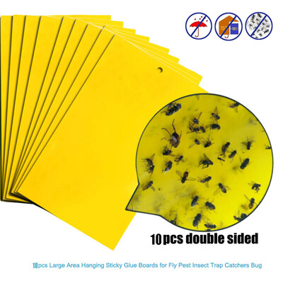 JPGIF 20Pcs Strong Flies Traps Bugs Sticky Board Catching Aphid Insects Pest Killer