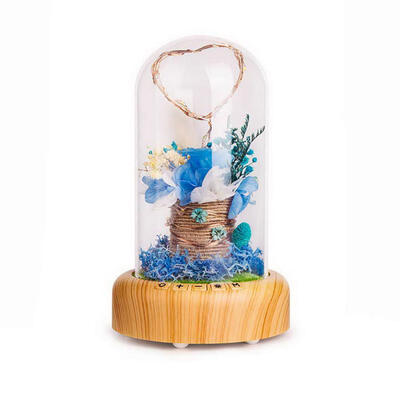 Creative Bluetooth Audio Speaker Wishing Streamer Bottle LED Nightlight Decorative Gifts Decorative Light
Creative Bluetooth Audio Speaker Wishing Streamer Bottle LED Nightlight Decorative Gifts Decorative Light