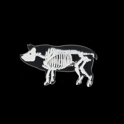 Halloween Transparent Resin Brooches Pins Cartoon Cartoon Animal Collar Badge for Jeans Bags Backpacks Party Costume Decorations
Halloween Transparent Resin Brooches Pins Cartoon Cartoon Animal Collar Badge for Jeans Bags Backpacks Party Costume Decorations