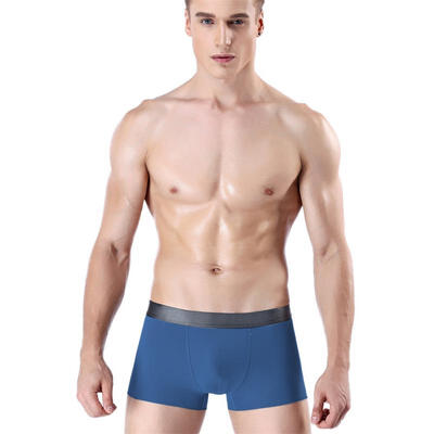 Breathable Seamless 3D Ice Silk Mens Underwear Boxer Brief Shorts Sexy Solid Color Elastic Tight Underpants
Breathable Seamless 3D Ice Silk Mens Underwear Boxer Brief Shorts Sexy Solid Color Elastic Tight Underpants