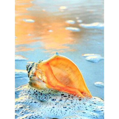 Full Square Drill Diamond Embroidery Sea Shell 5D DIY Diamond Painting Landscape Cross Stitch Kit Home Decoration Gift
Full Square Drill Diamond Embroidery Sea Shell 5D DIY Diamond Painting Landscape Cross Stitch Kit Home Decoration Gift
