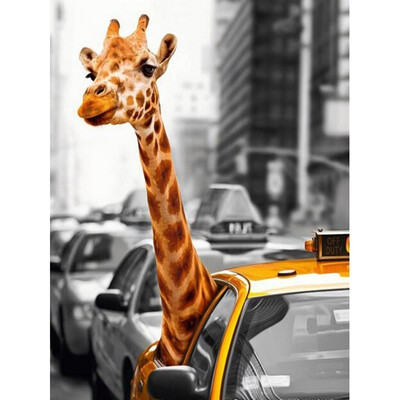 kirinshow 5D Diamond Painting Giraffe Full Drill Crystal Diamond Embroidery Animal Kits Handmade Rhinestone Mosaic Room Decoration
kirinshow 5D Diamond Painting Giraffe Full Drill Crystal Diamond Embroidery Animal Kits Handmade Rhinestone Mosaic Room Decoration