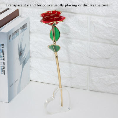 Greensen Long Stem Dipped 24K Gold Rose Display Stand Heart Shape Acrylic Holder Flower Decor
Greensen Long Stem Dipped 24K Gold Rose Display Stand Heart Shape Acrylic Holder Flower Decor