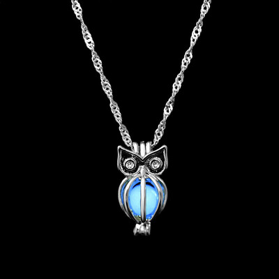 2018 Glow In The Dark Pendant Necklaces Silver Plated Chain Necklaces Charm Glowing Owl Necklace Women Collares Luminous Jewelry
2018 Glow In The Dark Pendant Necklaces Silver Plated Chain Necklaces Charm Glowing Owl Necklace Women Collares Luminous Jewelry