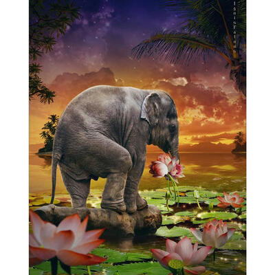5D DIY Full Drill Diamond Painting Elephant Cross Stitch Embroidery Mosaic