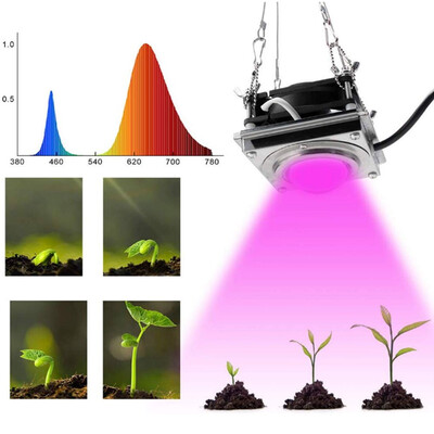 〖Follure〗300W COB LED Plant Growth Light For Plant Flower Indoor Hydroponic Greenhouse
〖Follure〗300W COB LED Plant Growth Light For Plant Flower Indoor Hydroponic Greenhouse