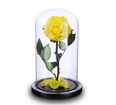 NW 1776 Handmade Flower Roses with Falling Petals Luxury Gift Box with Wooden Base&Elegant Gifts Valentines Day Mothers Day
NW 1776 Handmade Flower Roses with Falling Petals Luxury Gift Box with Wooden Base&Elegant Gifts Valentines Day Mothers Day