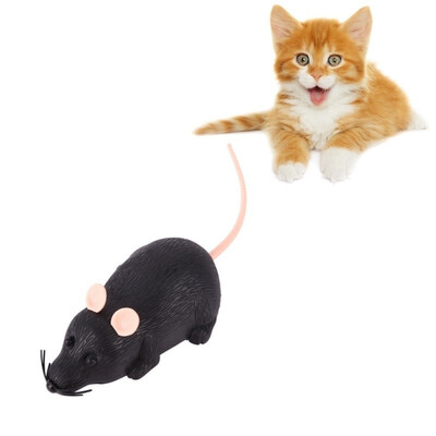 Cat Simulated Mice Toys Plastic Black Grey Optional Pull Back Toys Automatic Go Forward Mouse Toy
Cat Simulated Mice Toys Plastic Black Grey Optional Pull Back Toys Automatic Go Forward Mouse Toy
