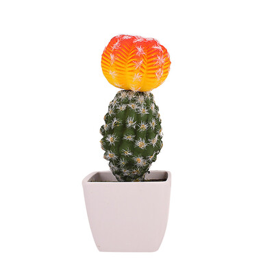 Toponeto Simulated Potted Cactus Artificial Green Plant Potted Flower Art Home Decor
Toponeto Simulated Potted Cactus Artificial Green Plant Potted Flower Art Home Decor