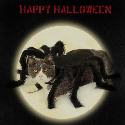 Cat Costume Halloween Spider Pet Costumes Pet Apparel for Small Cats&Dogs
Cat Costume Halloween Spider Pet Costumes Pet Apparel for Small Cats&Dogs