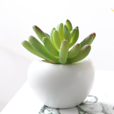 Gobestart Artificial Flower Succulent Plant Refrigerator Sticker Bonsai Magnet GreenPlant
Gobestart Artificial Flower Succulent Plant Refrigerator Sticker Bonsai Magnet GreenPlant