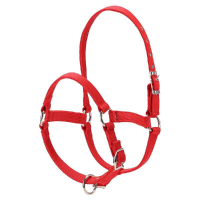 6MM Thickened Horse Head Collar Adjustable Safety Halter Bridle Headcollar
6MM Thickened Horse Head Collar Adjustable Safety Halter Bridle Headcollar